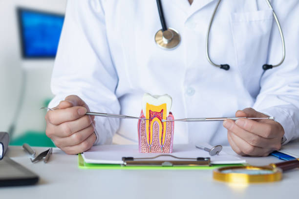  Franklin Farm, VA Emergency Dentist Pros